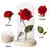 Rosa em cúpula de vidro led - Amor & Presentes