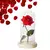 Rosa em cúpula de vidro led - loja online