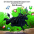 Enchanted Amazon Children’s Collection: Legends and Myths - BOI-BUMBÁ - (BILÍNGUE - INGLÊS) - comprar online