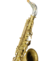 Saxofone Alto Yamanha Yas 31 série 003309 banhado a prata na internet