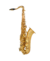 Saxofone Tenor Shelter