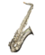Saxofone Tenor Hoyden Niquelado - loja online