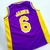 CAMISETA LA LAKERS - TikiTikiSag