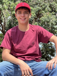 Camiseta PH - Vinho - comprar online