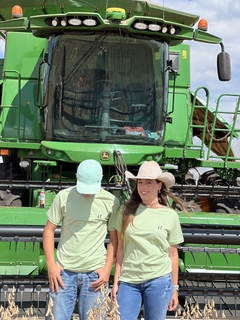 Camiseta PH - Verde na internet