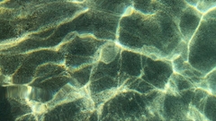 Banner da categoria Combustível para o corpo