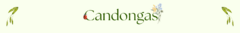 Banner de la categoría candongas