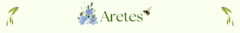 Banner de la categoría Aretes