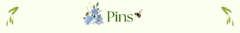 Banner de la categoría Pins