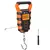 Balança Digital para Pesca AMIR 50kg com Régua Embutida, Display LCD e Gancho – Alta Precisão e Portabilidade na internet