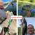 3 unidades 6g 8g 13g sapo isca macia tubo isca de pesca de plástico com ganchos - comprar online
