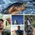 Conjunto de 6 peças de iscas Whopper Plopper Topwater com cauda giratória para atrair peixes predadores como bass, tucunaré e traíra. - World Pesca