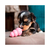 KONG PUPPY - MEDIUM/MOYEN - MOM Caes e Gatos