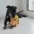KONG RINGAROOS PIG MD - comprar online