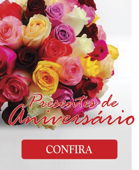 Carrossel 1