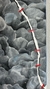 89 ROCKS - comprar online