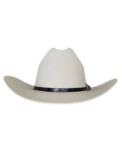 Estilo Sinaloa 100X en internet