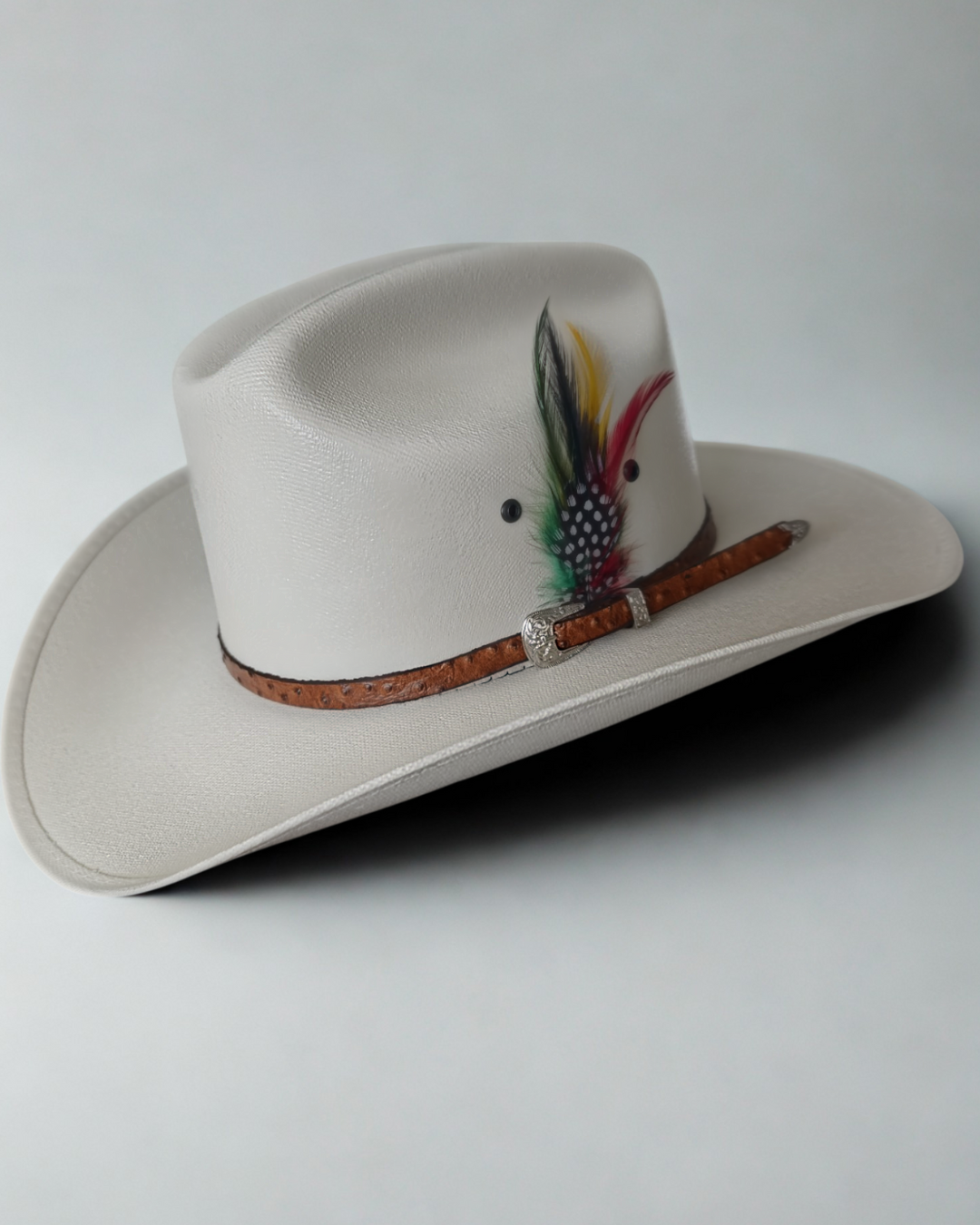 Sombreros Clásicos