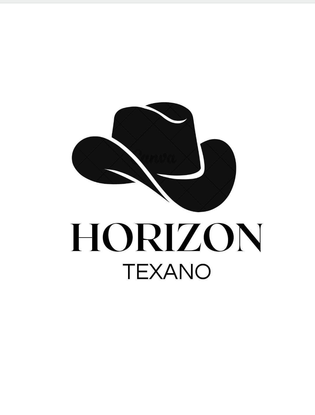 Carrusel HorizonTexano