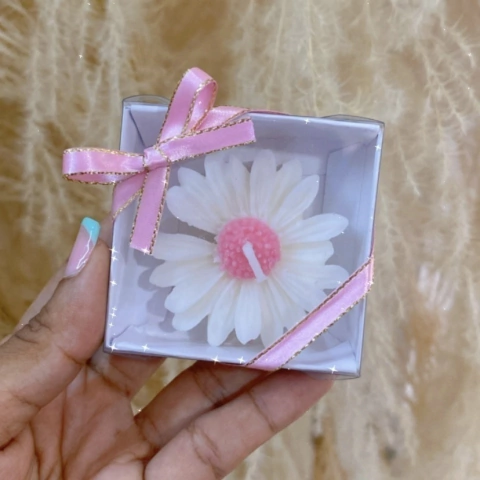 Margarita en Caja - comprar en línea