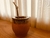 Mate Imperial Artesanal de Algarrobo con Virola de Acero Pulida