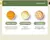Mini Processador de Alimentos Portátil - loja online
