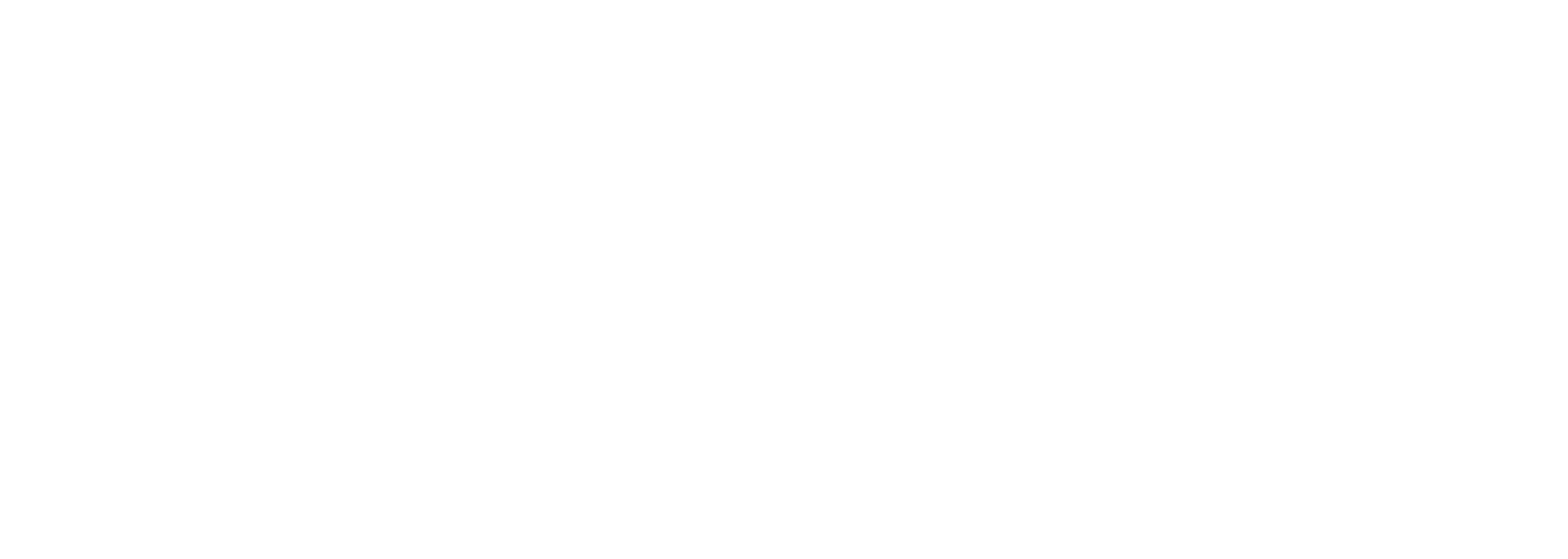 AP Professional Makeup