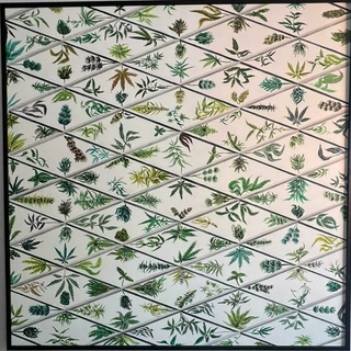 Fernando Brizuela. Herbario, 182 x 182 cm