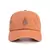 Gorra Pine Lab I Trown en internet