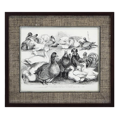 QUADRO GRAV EXPOSICAO UNIVERSAL III