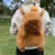 Mochila capivara de pelúcia (vários modelos) - comprar online