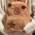Mochila capivara de pelúcia (vários modelos)