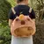Mochila capivara de pelúcia (vários modelos) na internet