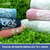 Imagem do Toalha de Banho Corttex Medalhão Jacquard Alta Absorção Algodão Pré-Lavada Pré-Encolhida 70 x 140