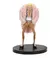 Action Figure Dom flamingo One Piece