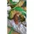 Action Figure Shenlong Dragon Ball Z na internet