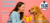 Banner de PetShoop
