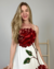 Vestido Cropped Bordado Rosalia Farm na internet