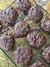 CHOCO FUDGE COOKIES - Concepto Messa