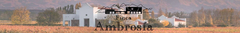 Banner de la categoría Bodega Finca Ambrosia