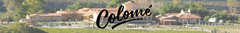 Banner de la categoría Bodega Colome