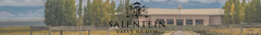 Banner de la categoría Bodega Salentein