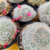 Cacto Mammillaria bocasana - loja online