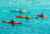 Banner de A Todo Kayak