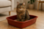 BANDEJA HIGIÊNICA 10L PARA GATOS na internet