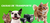 Banner de Coddle Pet