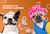 Banner de Coddle Pet