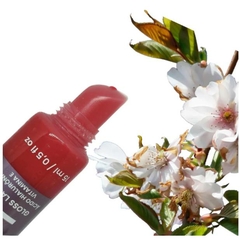 GLOSS LABIAL VERMELHO LANFFY 15ML - comprar online