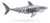 Tiburon Interactivo Juguete Robotico * Robo Alive * Zuru Color Gris - comprar online