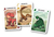 Extinción! Cartas Dinosaurios Juego De Mesa Top Toys - comprar online